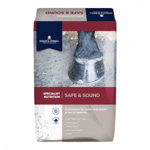 Dodson & Horrell Safe & Sound 20kg 20kg for sale Evesham and online. We can deliver.