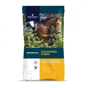 Dodson & Horrell Staypower Cubes 20kg for sale Evesham and online. We can deliver.