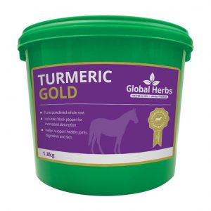 Global Herbs Turmeric 1.8kg for sale Evesham and online.