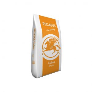 Pegasus Cubes 20kg for sale Evesham and online.
